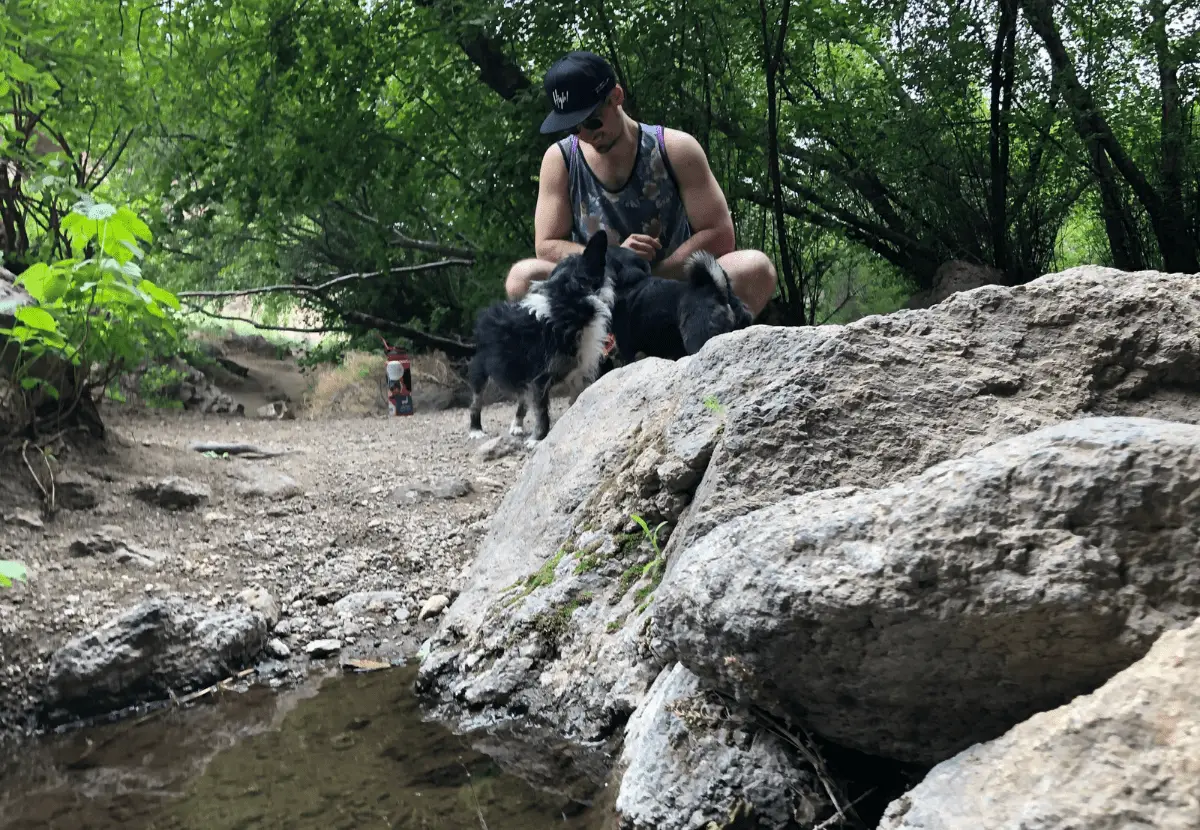 Hiking with my dogs near my home in Idaho.