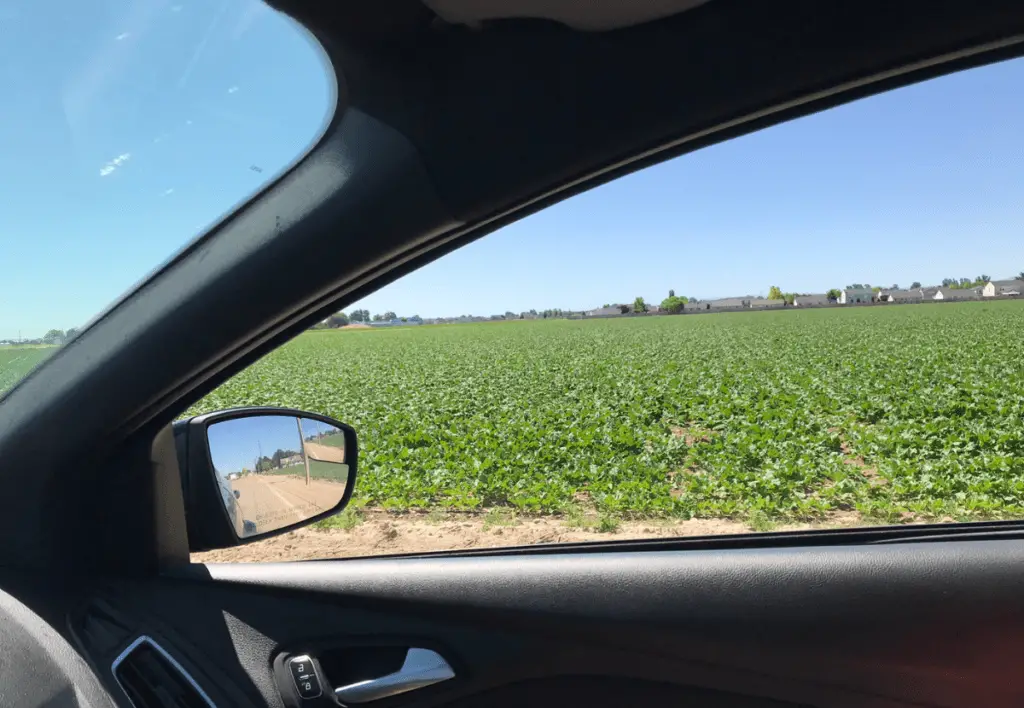 A field in Boise, Idaho.