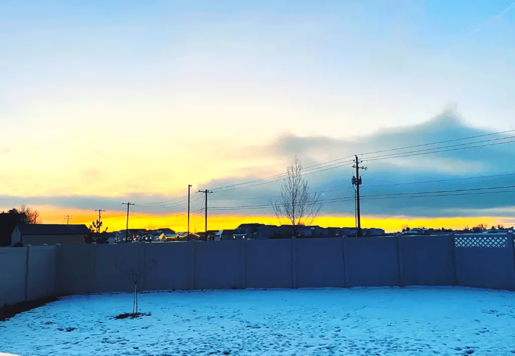 A snow-covered backyard with the sunrise behind it, in Boise.