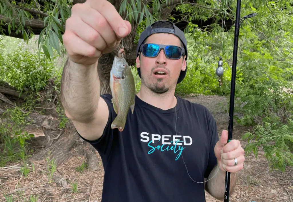 A small fish that I caught in Boise.