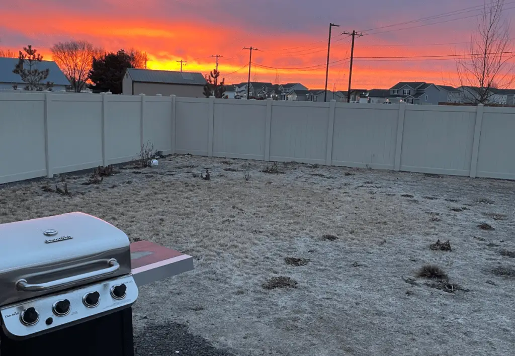 A dead backyard in the middle of summer in Idaho.